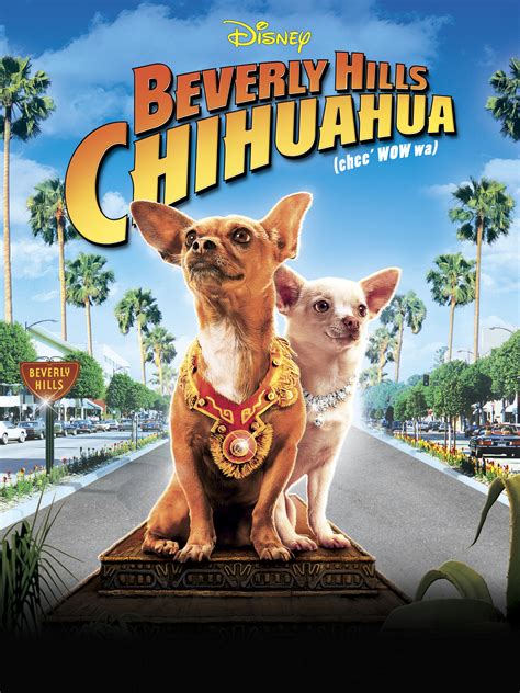 chiwawa beverly hills version.